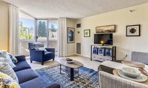 Living room with a patterned rug, TV, wood coffee table and dark blue seating in a Piedmont Gardens apartment