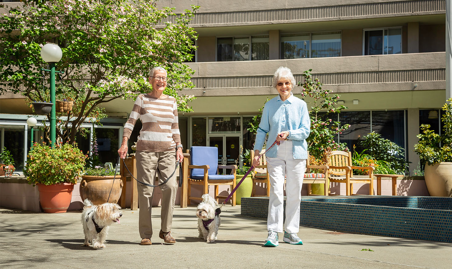 Two senior women walking their small dogs outside Piedmont Gardens