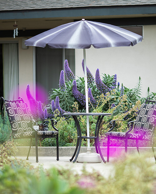 Outdoor patio table, chairs and umbrella next to a garden