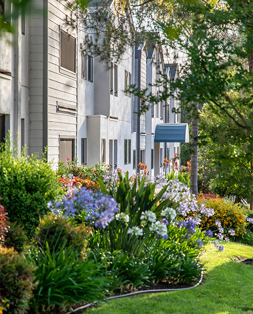 Gardens outside apartment homes at Redwood Terrace