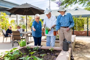 seniors at planter beds