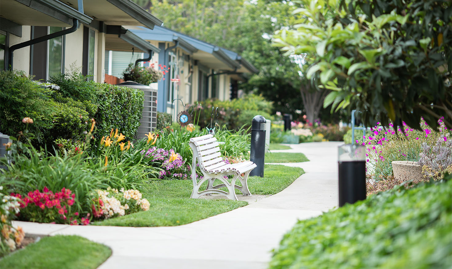 Outdoor walking path through the landscaped grounds at Redwood Terrace