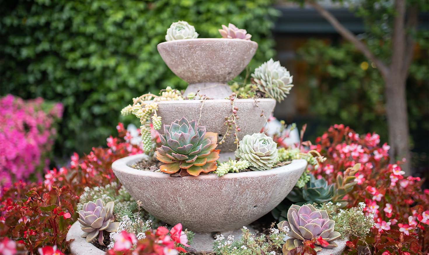 Three-tiered planter filled with succulents