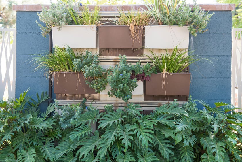 close up on hanging garden on outdoor patio