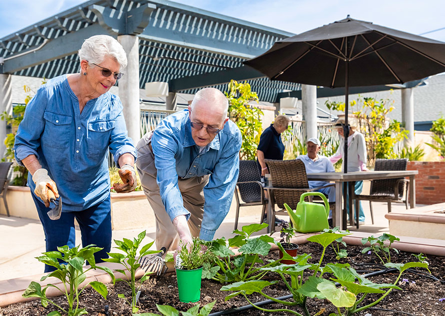 seniors gardening