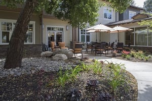 Large tree and outdoor seating on a patio at The Terraces at Los Altos