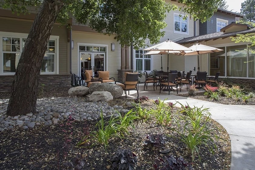 Large tree and outdoor seating on a patio at The Terraces at Los Altos