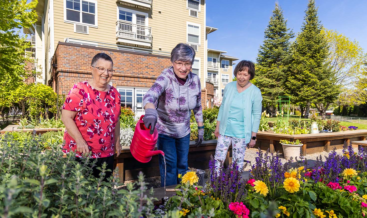 Senior woman watering flowers in the garden as two other senior women watch
