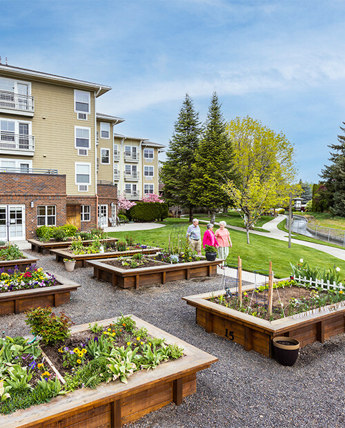 Raised-bed garden at The Terraces at Summitview 