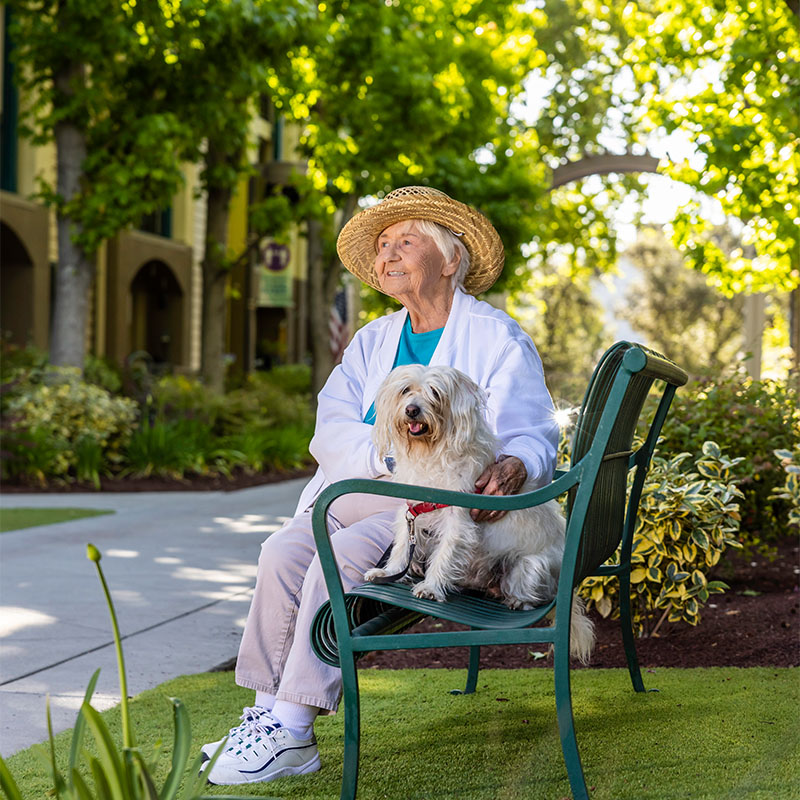 Senior woman sitting an on outdoor bench with a small dog at The Terraces of Los Gatos