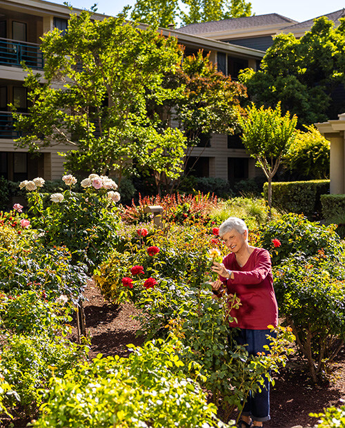 Senior woman looking at flowers in the garden of The Terraces of Los Gatos