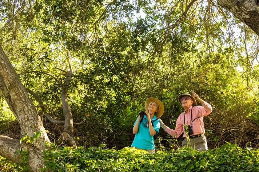 Senior man and woman bird-watching