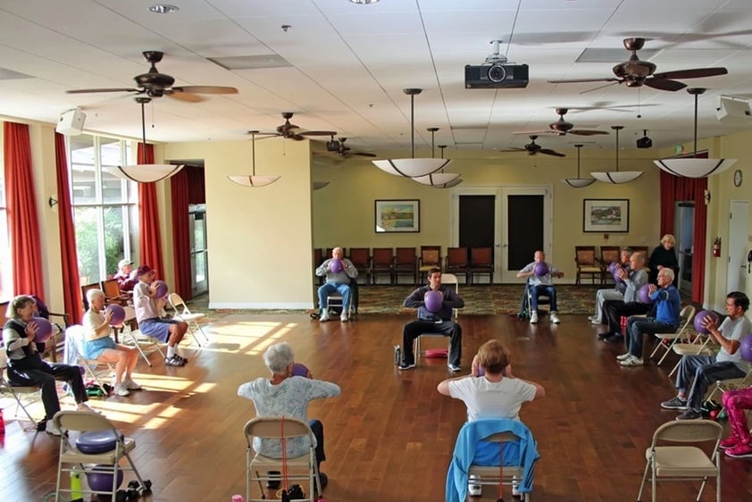 Group of seniors doing a seated exercise class using balls