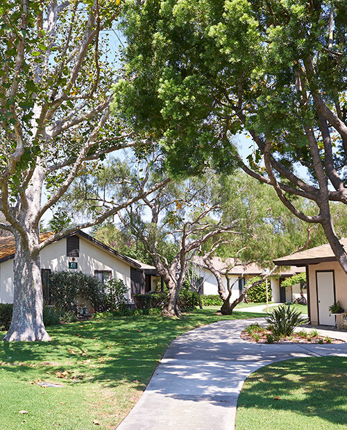 Walking path through the Valle Verde community