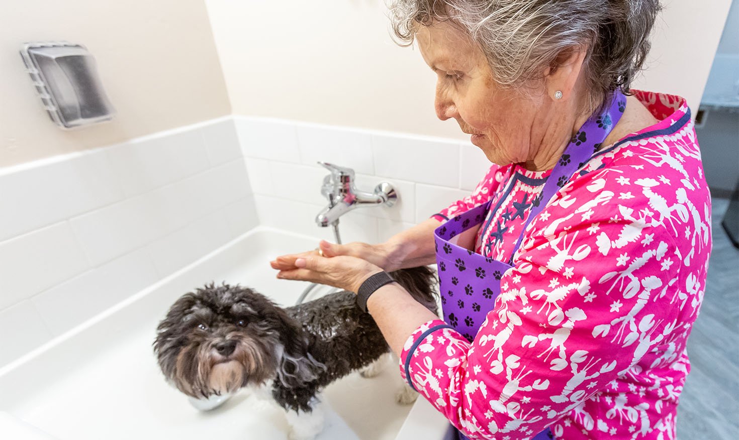 Senior woman giving her dog a bath