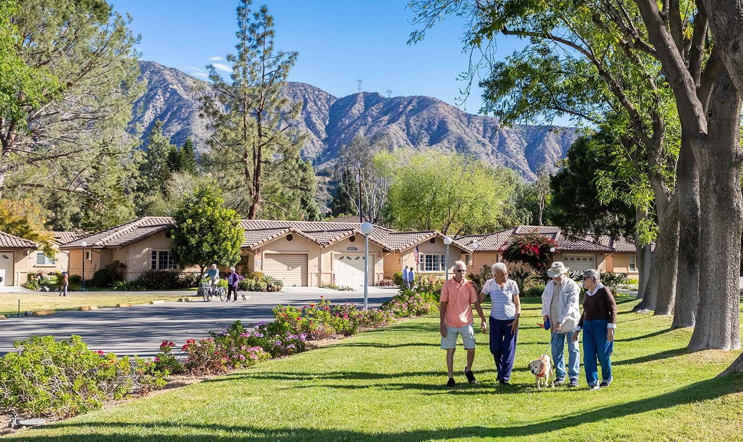 Two couples, one with a small dog, walking on the grounds of Westminster Gardens with mountains in the background