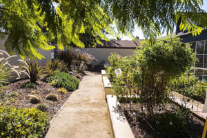 Garden beds in a walled garden at Redwood Terrace