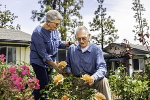 Senior couple looking at orange roses in the garden at Redwood Terrace