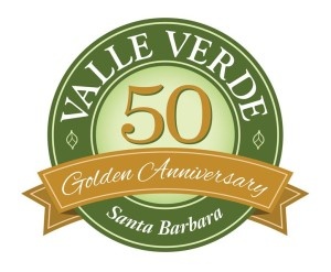 vv 50 logo