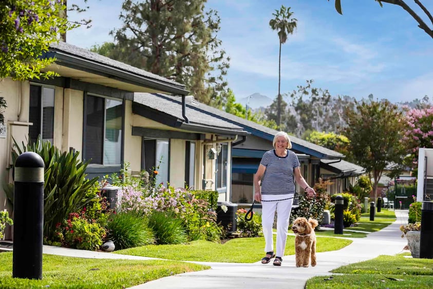 Senior woman in a striped shirt walking a dog on the sidewalk at Redwood Terrace