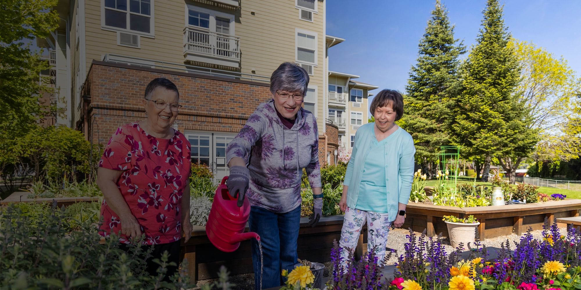Three women tending a garden