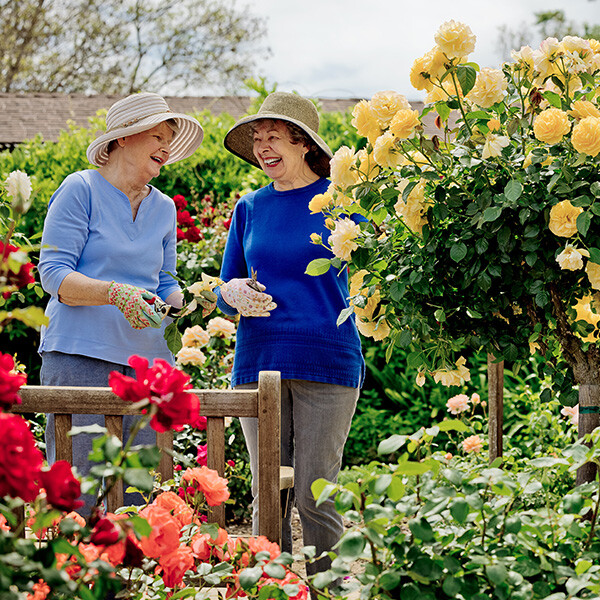 Two senior women wearing sun hats and gardening