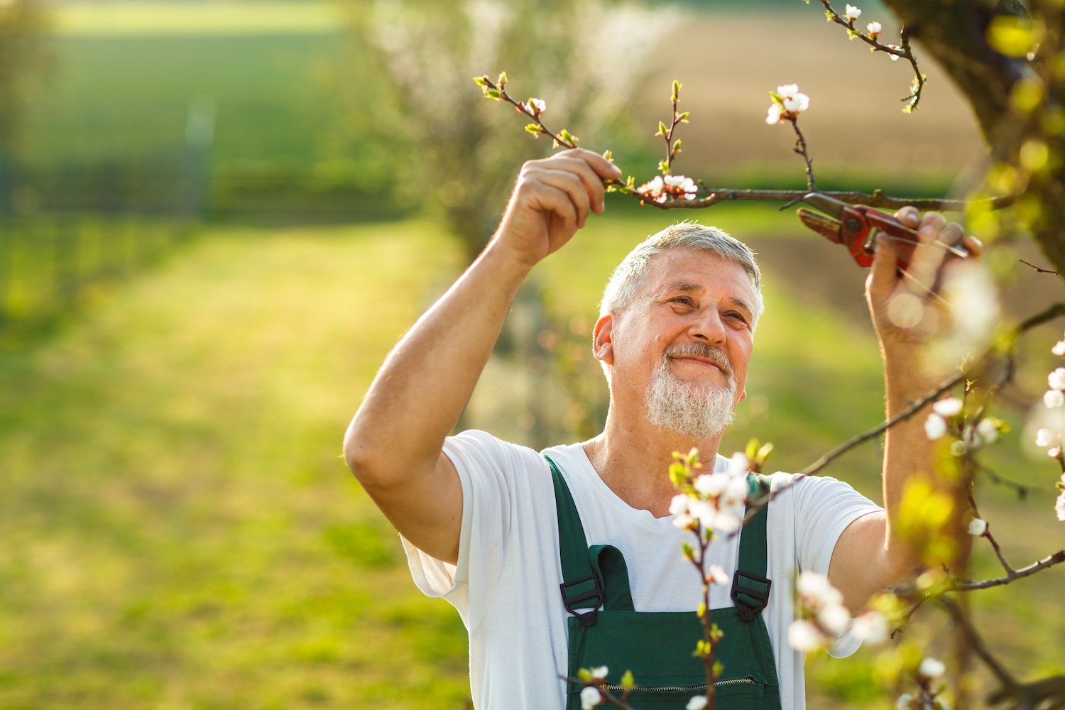 man smiling outside trimming tree